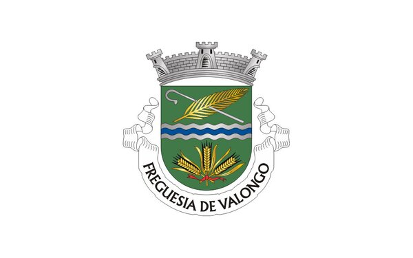 freguesia_valongo