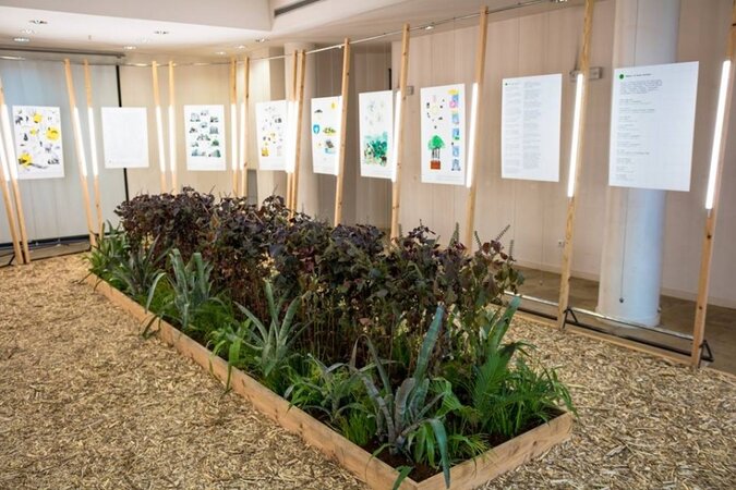 Ecotopia no Museu Municipal até 14 de novembro