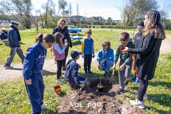 Celebrar a Árvore, a Água e o Planeta