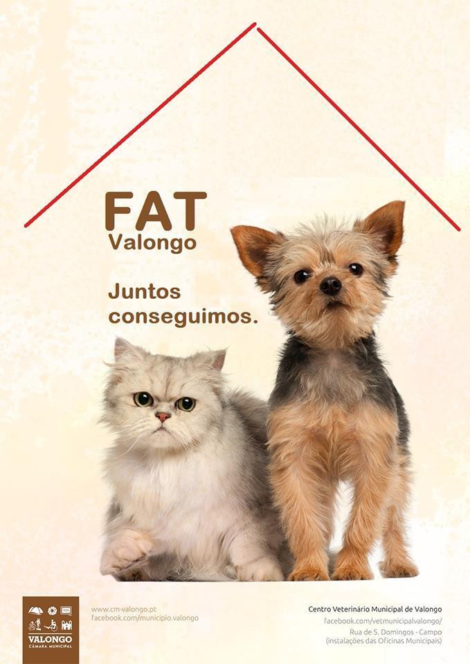 37253637_1790721887630334_1064568443870642176_n