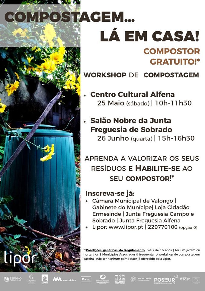 58809805_2133986616648359_3473257159406387200_n