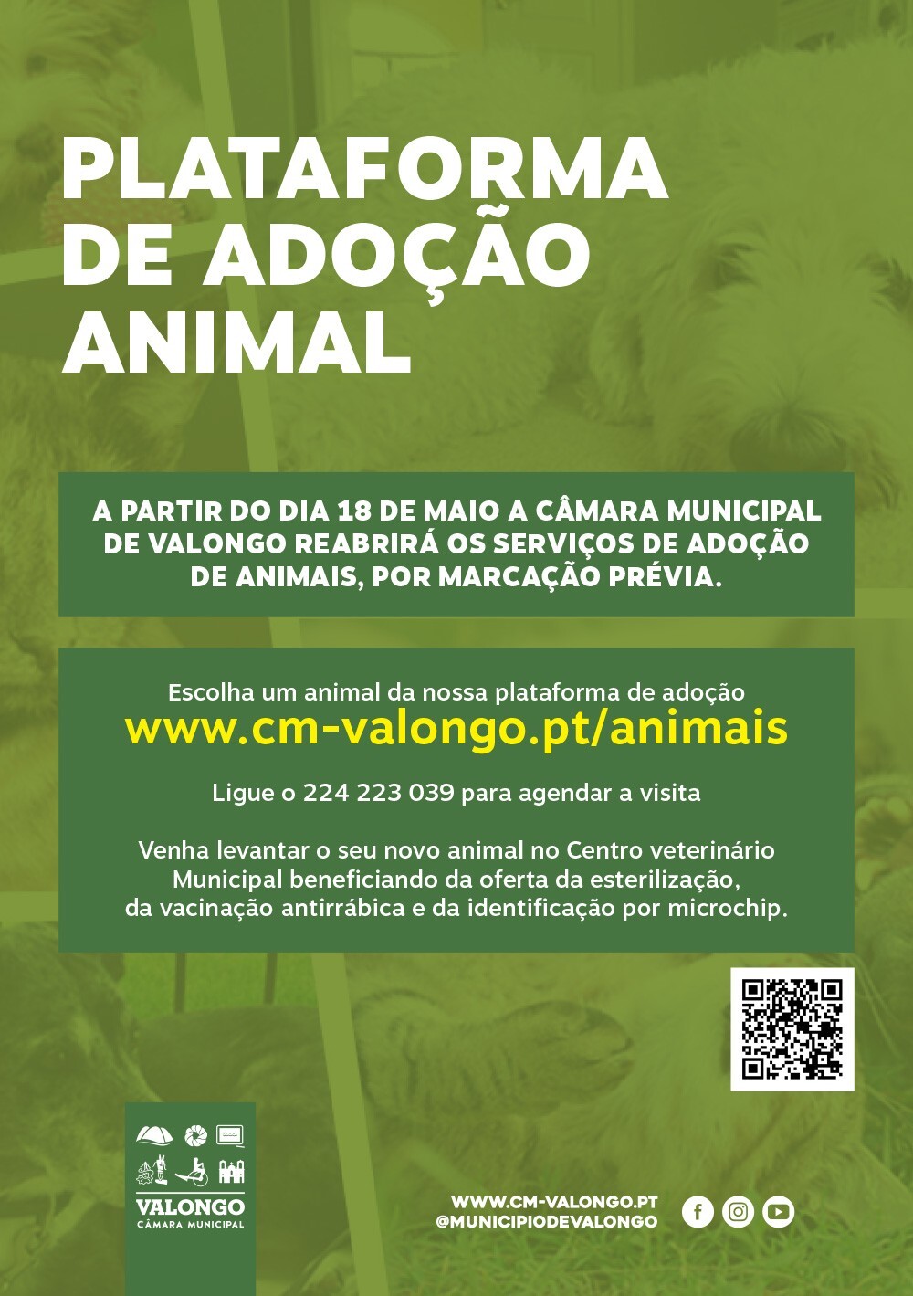 plataforma-adoção-animal-2020_r2