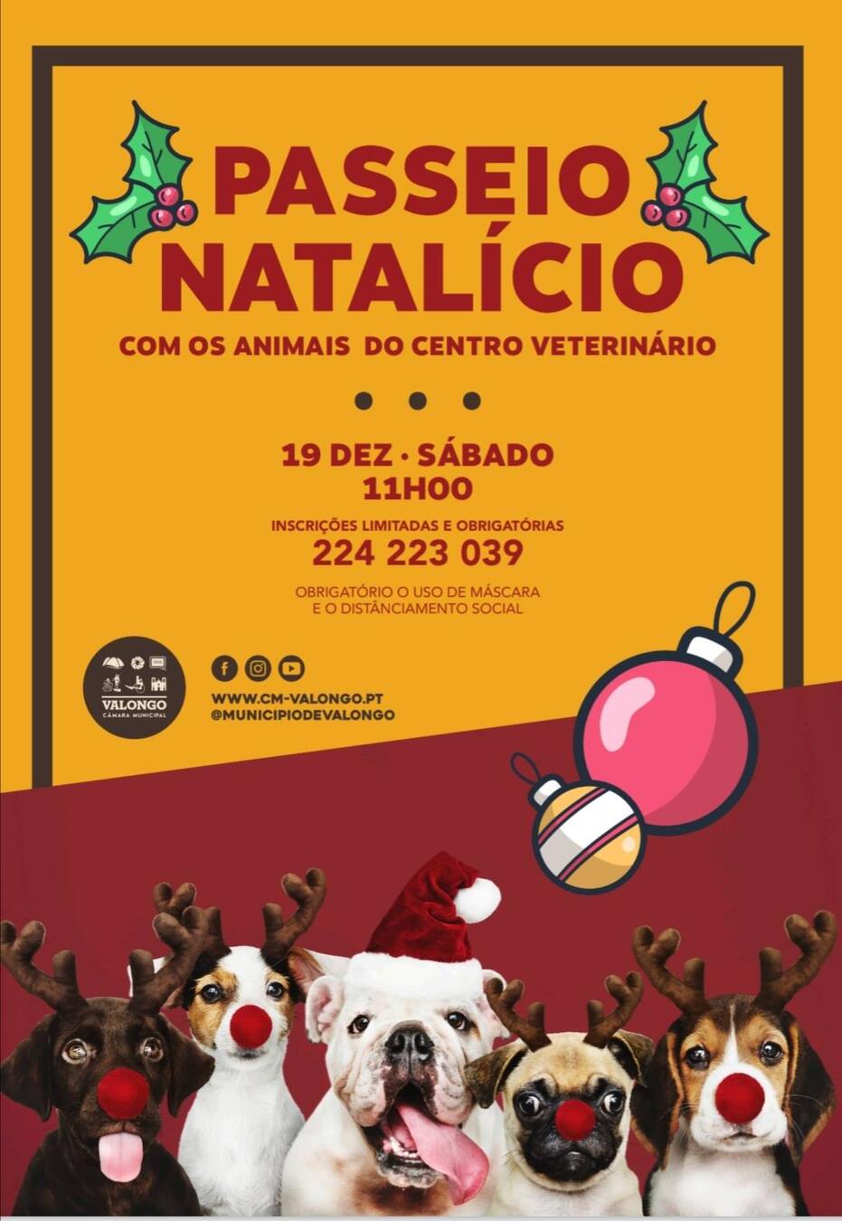 131279006_3538845232817982_6353282000643804636_o