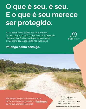 cartaz do bupi