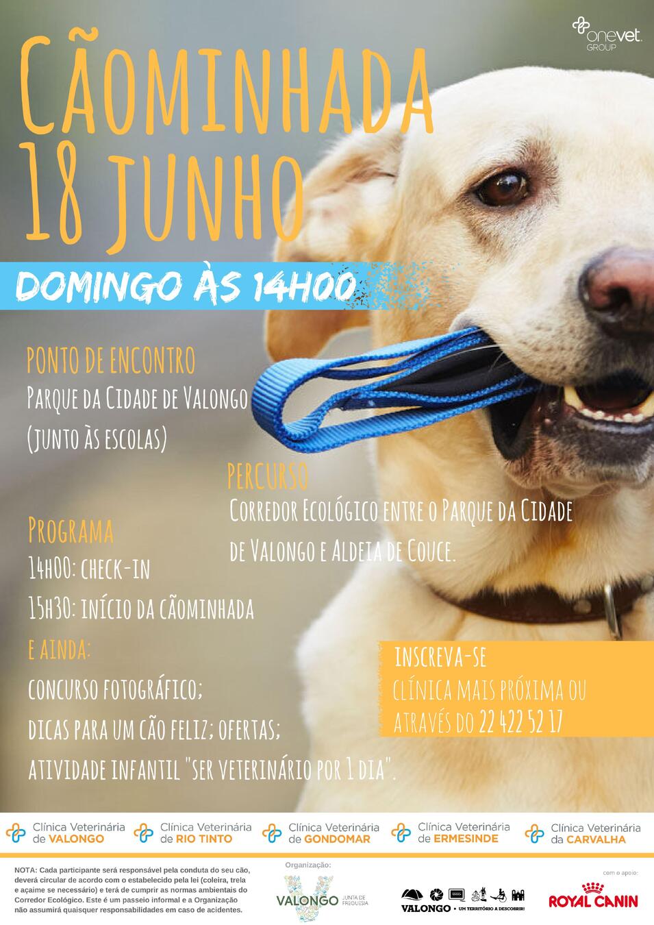 cartaz C&atilde;ominhada Valongo_final