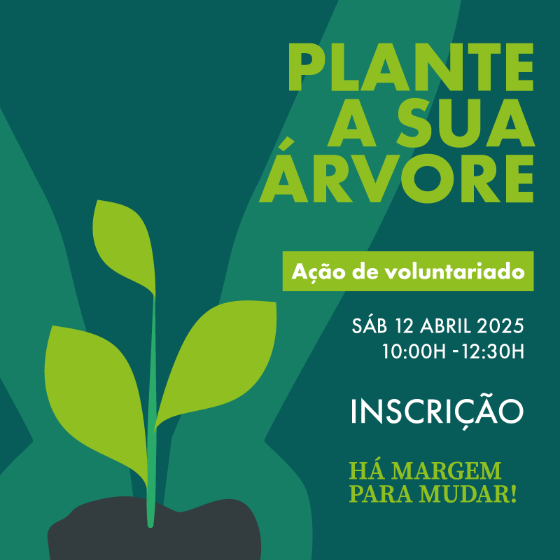 WEB-01_a&ccedil;ao-voluntariado_planta&ccedil;ao-arvores