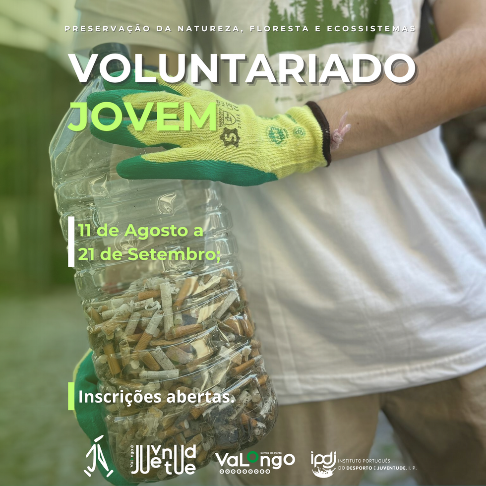 Cartaz do Voluntariado Jovem 2025