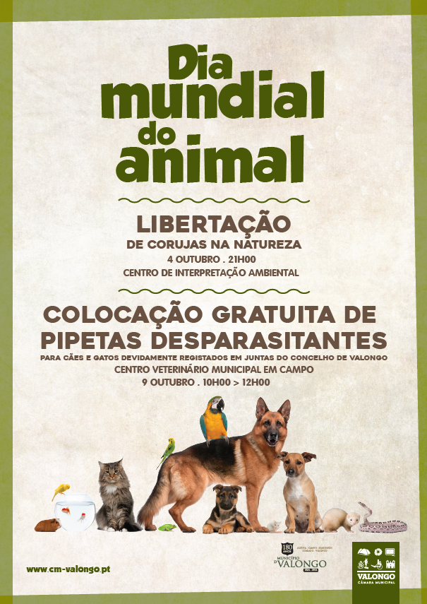 22090152_1494726027229923_6008406801687455987_n